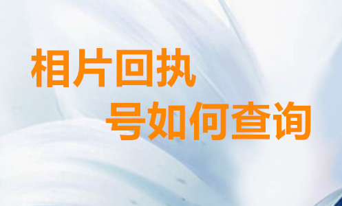 相片回执号如何查询