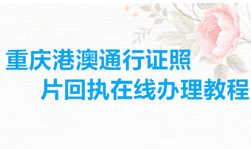 重庆港澳台通行证照片回执在线办理教程