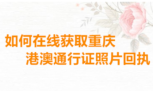 如何在线获取重庆港澳台通行证照片回执