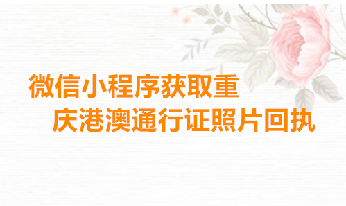 微信小程序获取重庆港澳通行证照片回执办理