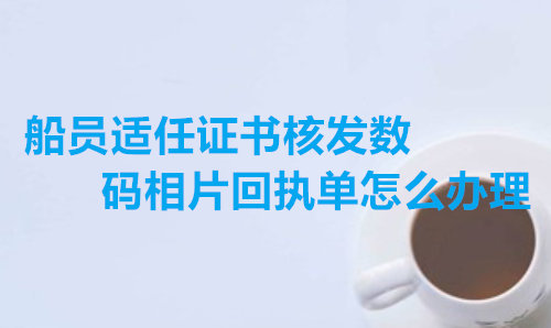 船员适任证书核发数码相片回执单怎么办理？
