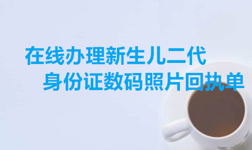 在线办理新生儿身份证数码照片采集回执单