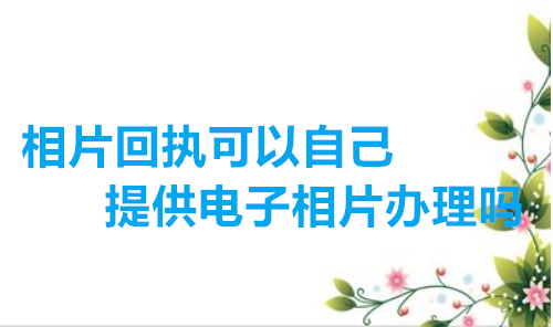 相片回执可以自己提供电子相片办理吗？