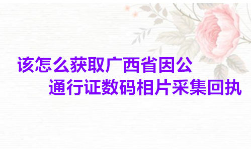 该怎么获取广西省因公通行证数码相片采集回执