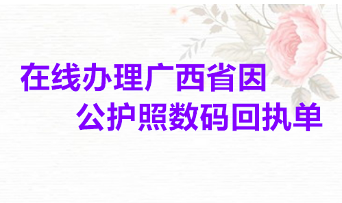 在线办理广西省因公护照数码回执单