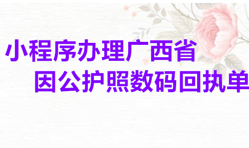 小程序办理广西省因公护照数码回执单