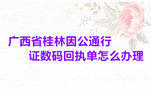 广西省桂林因公通行证数码回执单怎么办理？