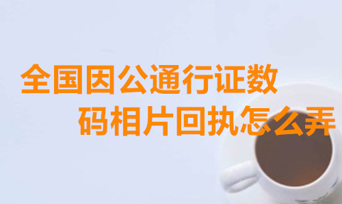 全国因公通行证数码相片回执怎么弄？