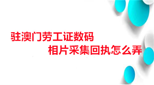 驻澳门劳工证数码相片采集回执怎么弄？